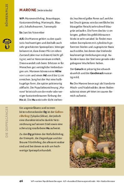 Pilze bestimmen - Der kleine Pilzführer für Einsteiger und Fortgeschrittene