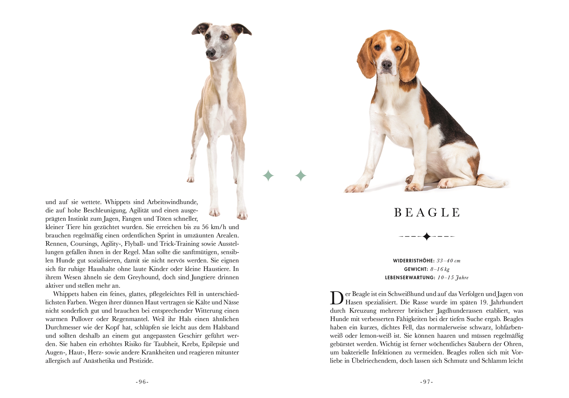 Naturelove. 50 besondere Hunde