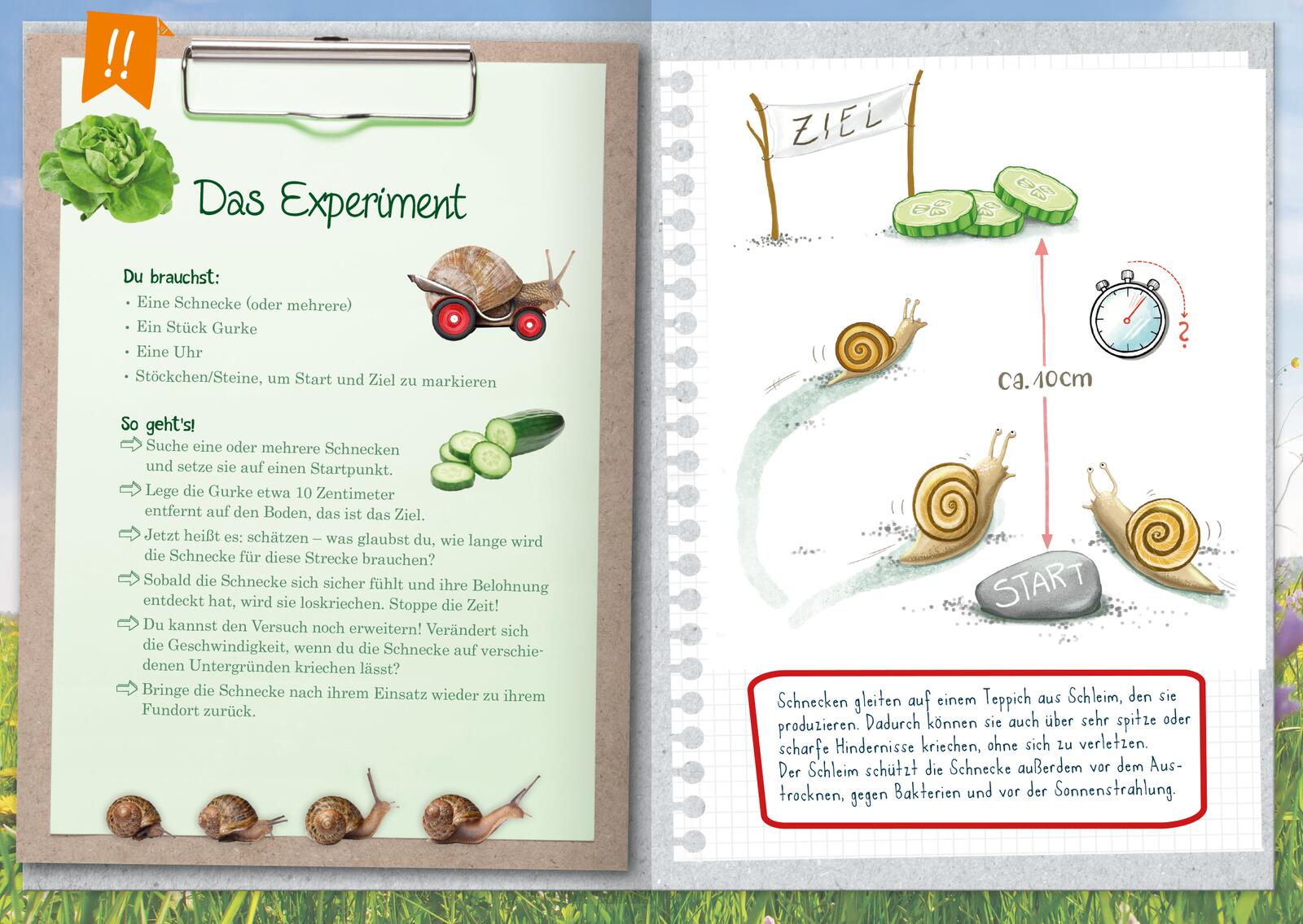 Naturforscher-Kids – Mein erstes Naturforscher-Buch
