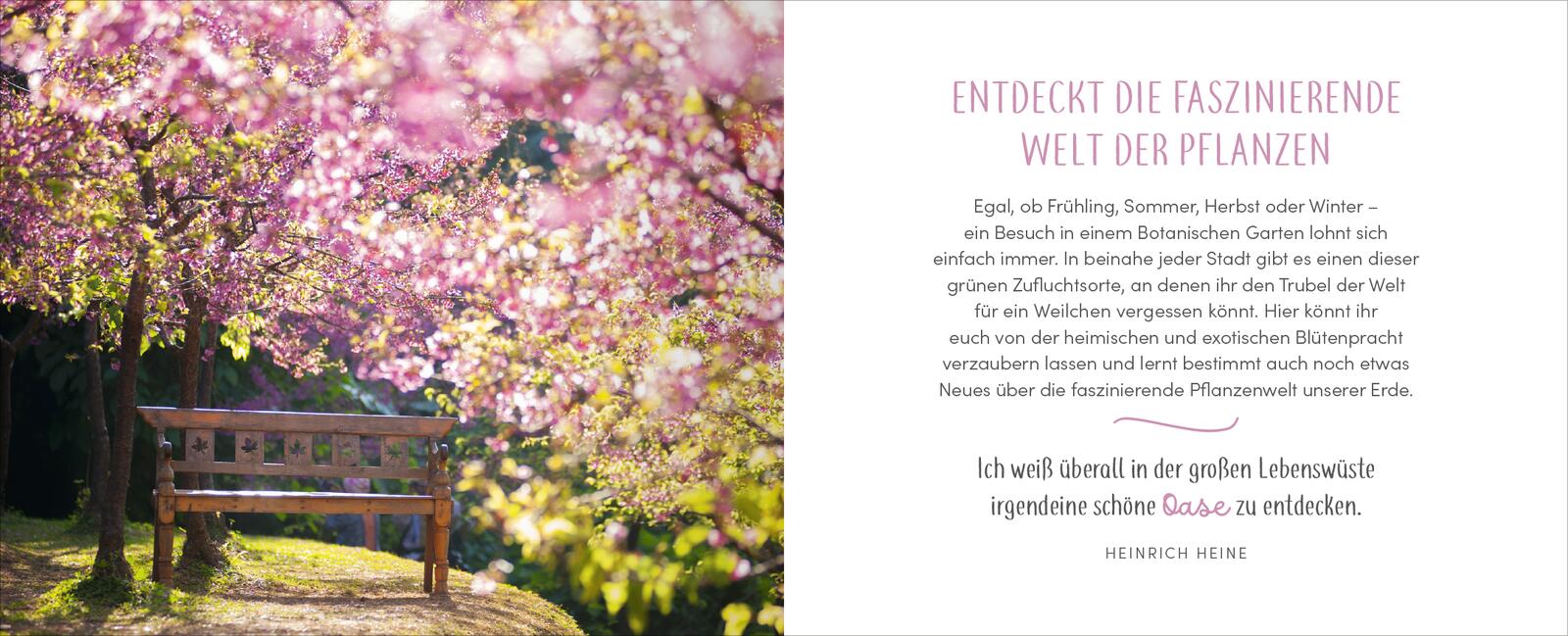 Zur goldenen Hochzeit – 50 Jahre Glück & Liebe