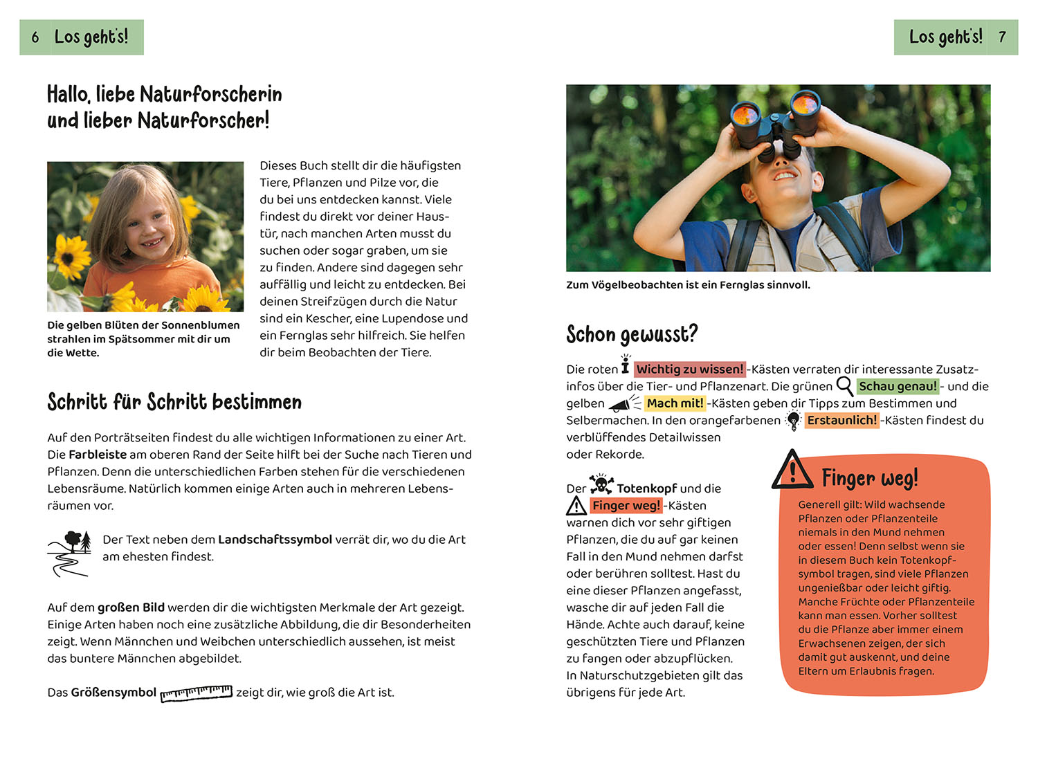 Tier- und Pflanzenführer. Kindernaturführer