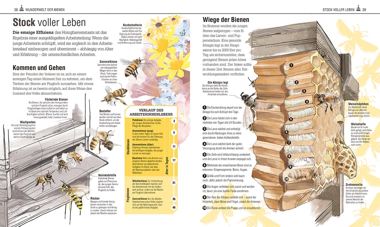 Das Bienen Buch