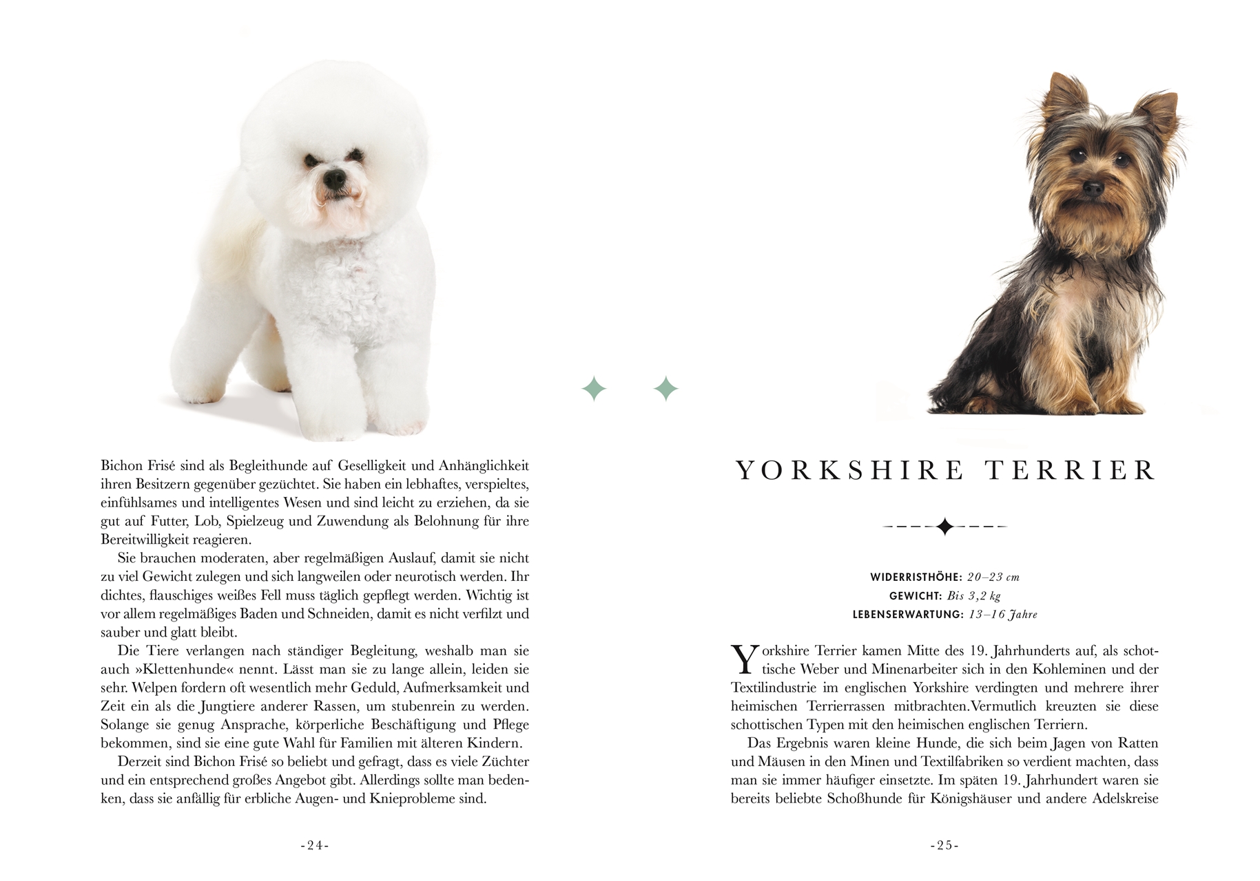 Naturelove. 50 besondere Hunde