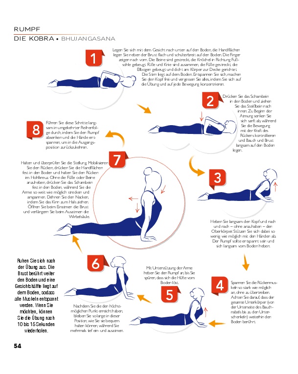 YOGA - Atlas der Anatomie