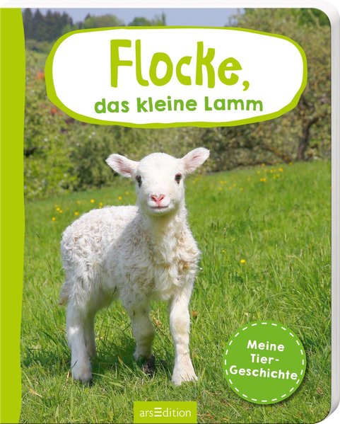 Erste Fotogeschichte: Flocke, das kleine Lamm