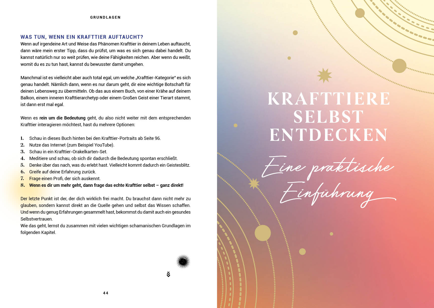 Praxisbuch Schamanische Krafttiere – Entdecke deine Seelenbegleiter