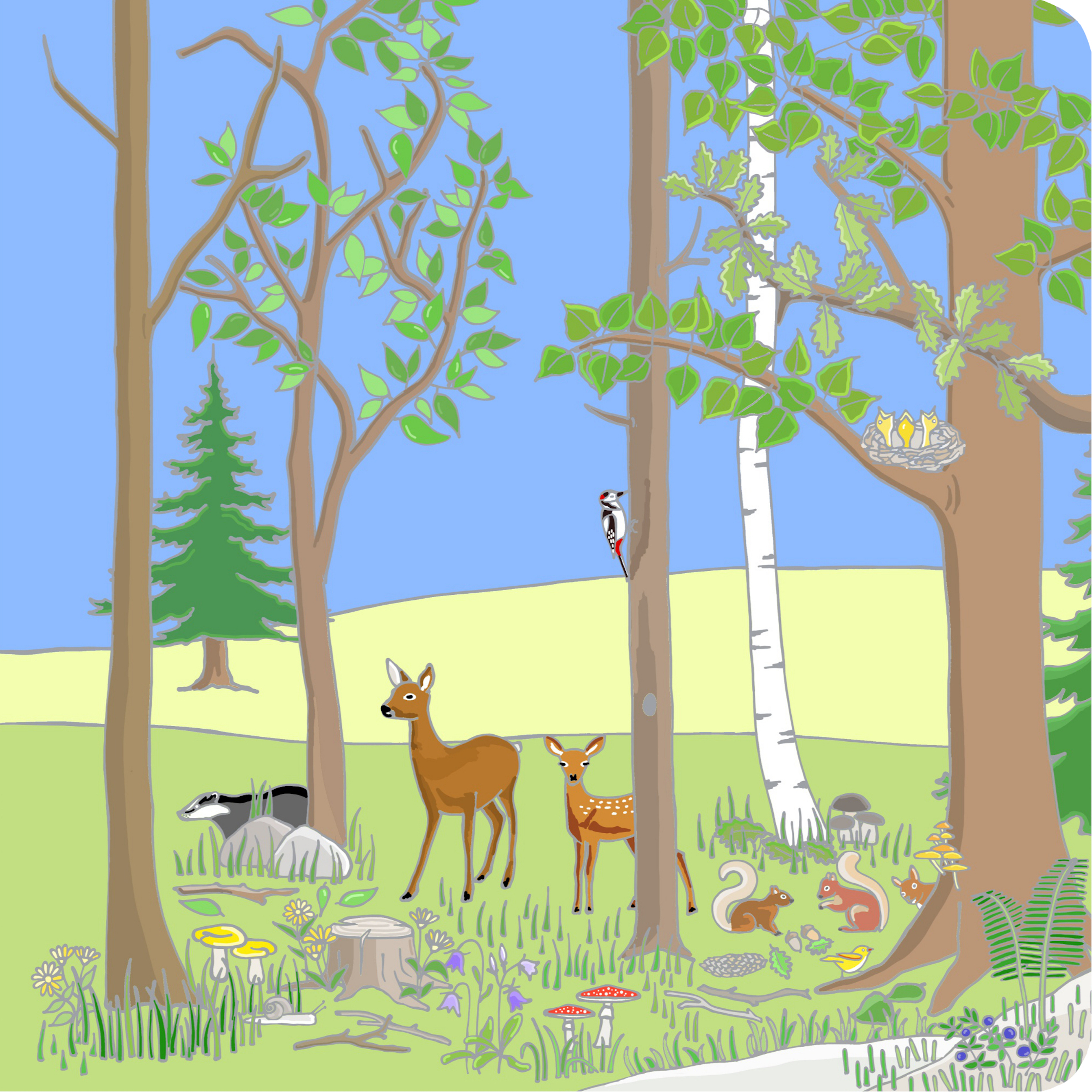 Ein-Bild-Wimmelbuch ab 1 Jahr - Wald