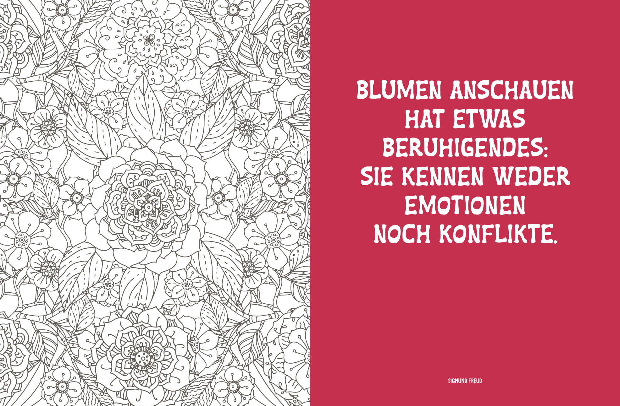 Colorful Mandala – Botanischer Garten