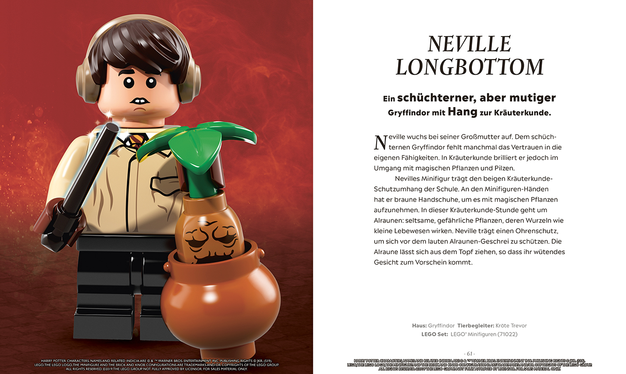 LEGO® Harry Potter™ Die magische Welt der Zauberer