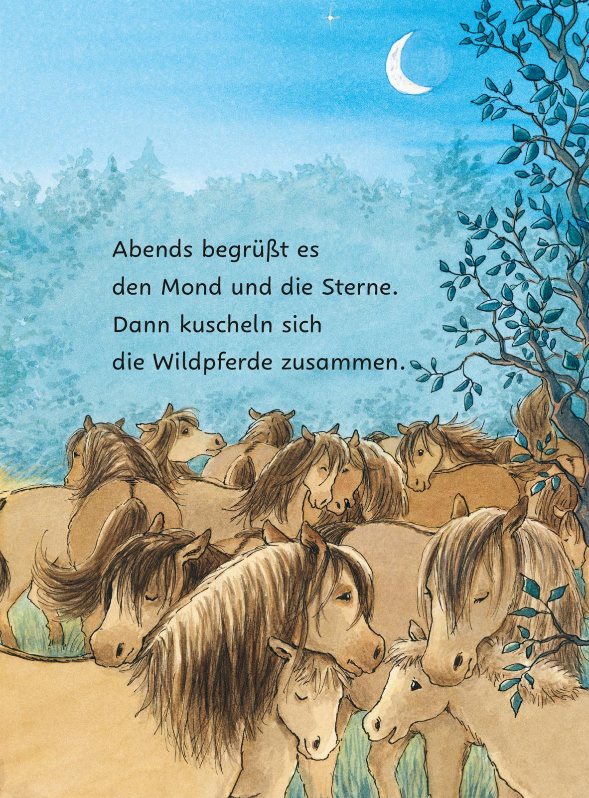Ponyherz und Herr Franz: Ponyherz und Herr Franz: Die geklaute Wurst