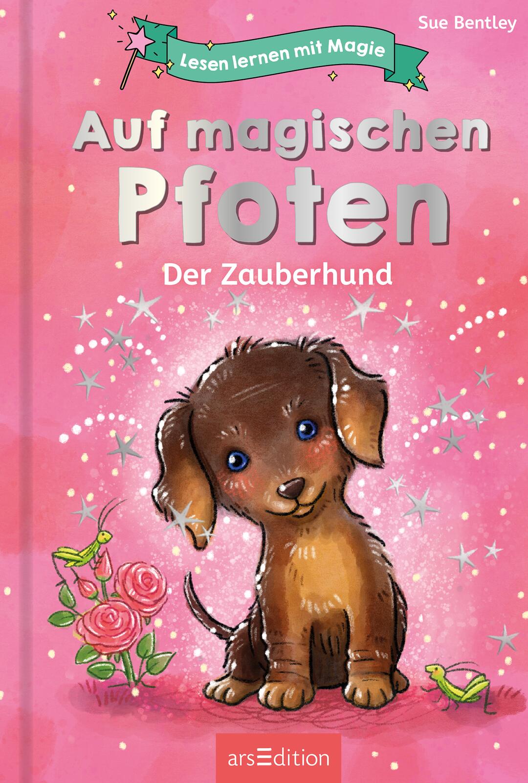 Lesen lernen mit Magie: Auf magischen Pfoten