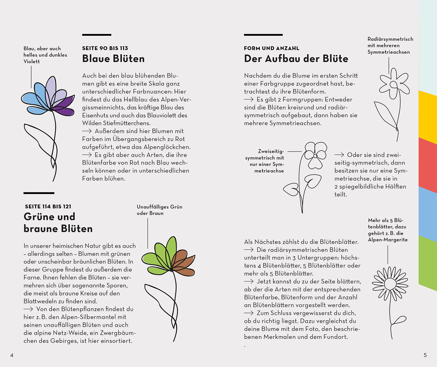 Basic Alpenblumen