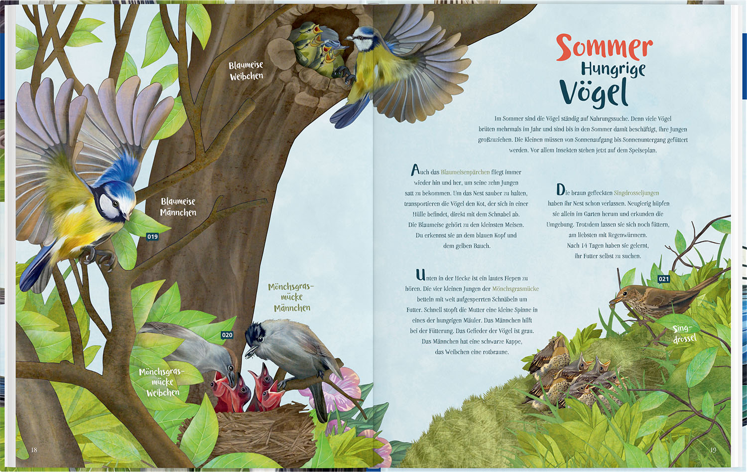 Mein Vogelbuch