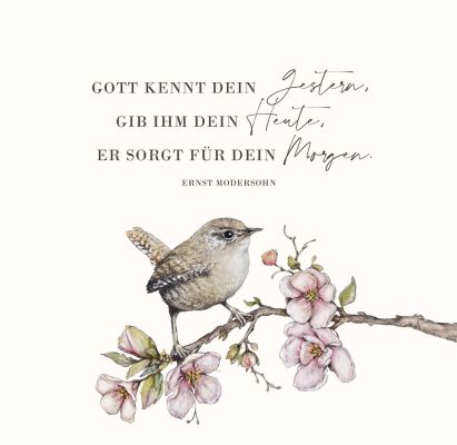 AugenBlicke - Aufstellbuch