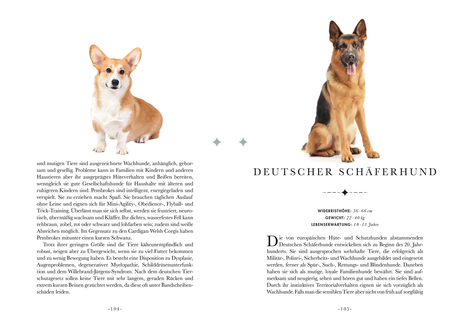 Naturelove. 50 besondere Hunde