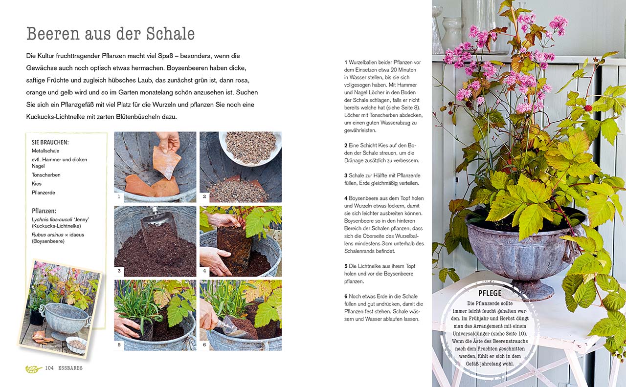 Kreativ mit Pflanzen