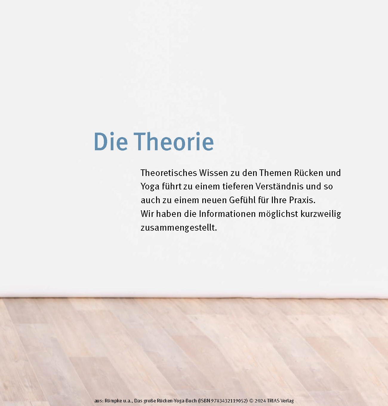 Das große Rücken-Yoga-Buch