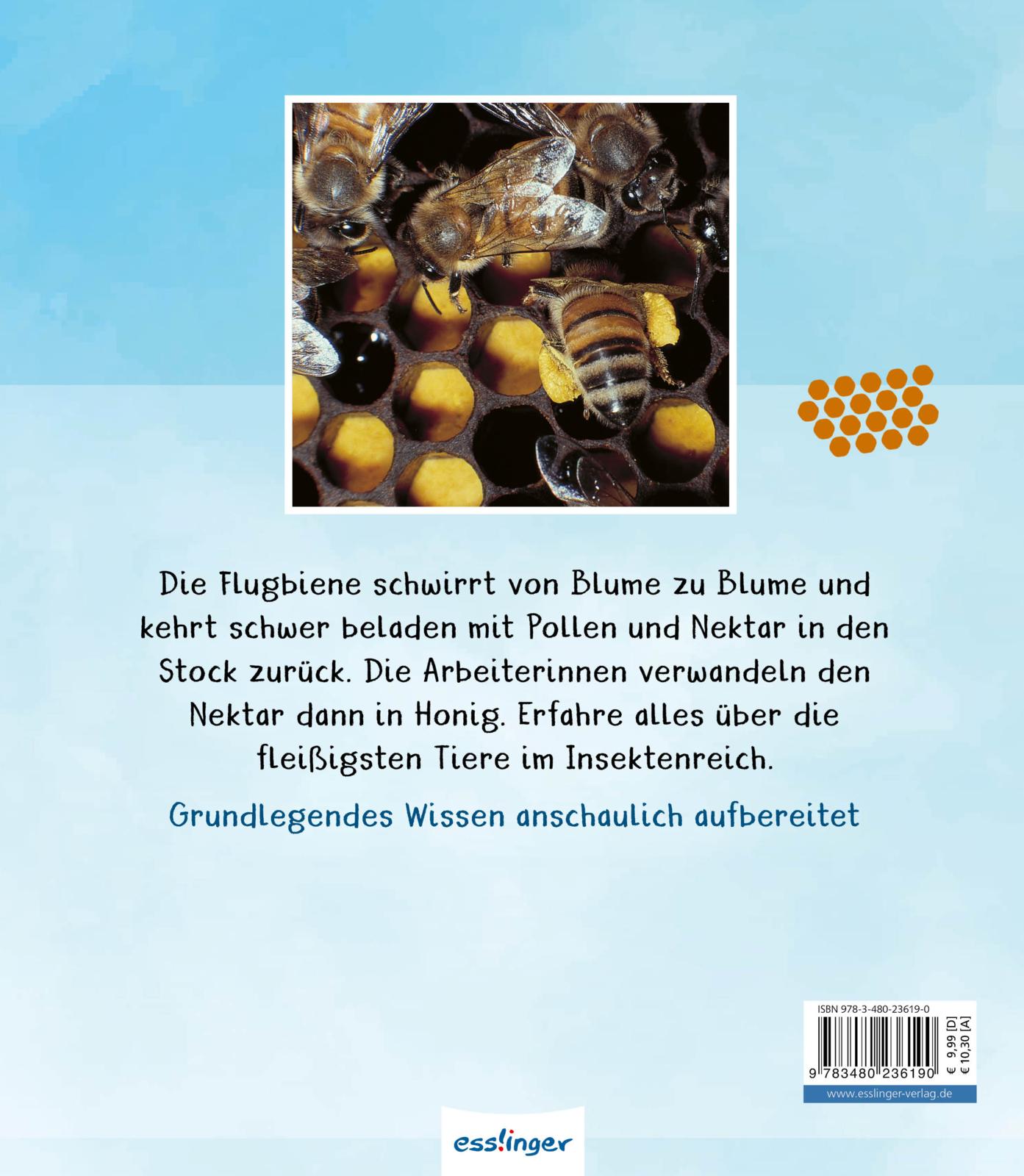 Meine große Tierbibliothek: Die Biene