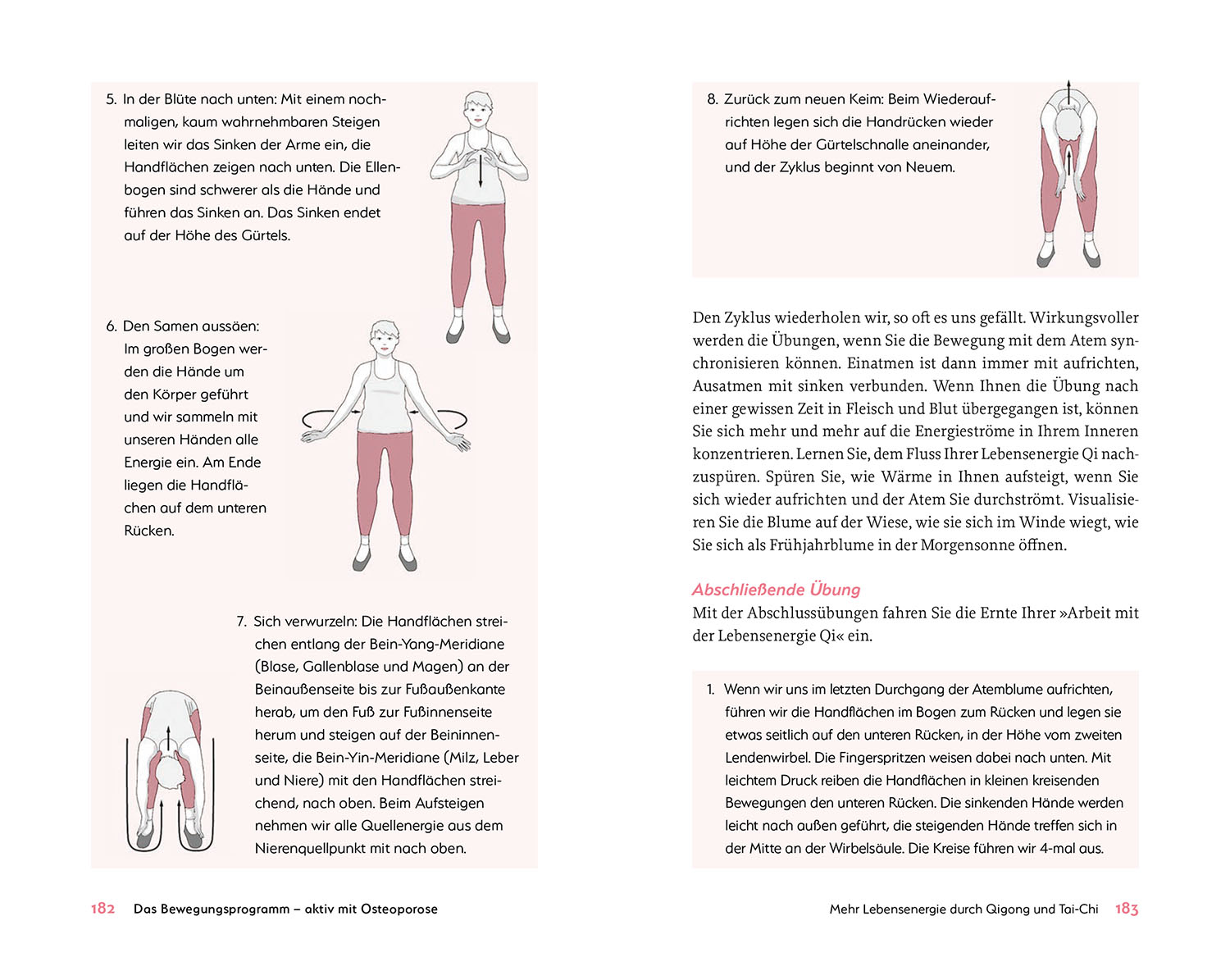 Das hilft bei Osteoporose - Alles zu Ursachen, Diagnostik und ganzheitlicher Behandlung