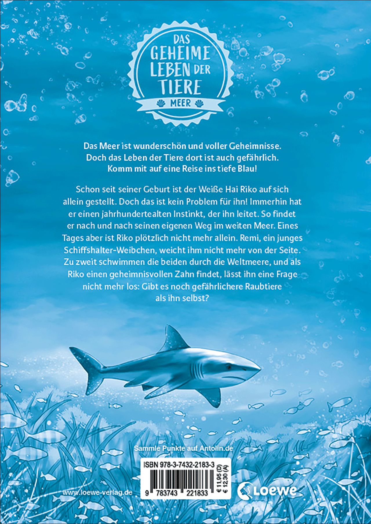 Das geheime Leben der Tiere (Meer) - Die Bestimmung der Haie