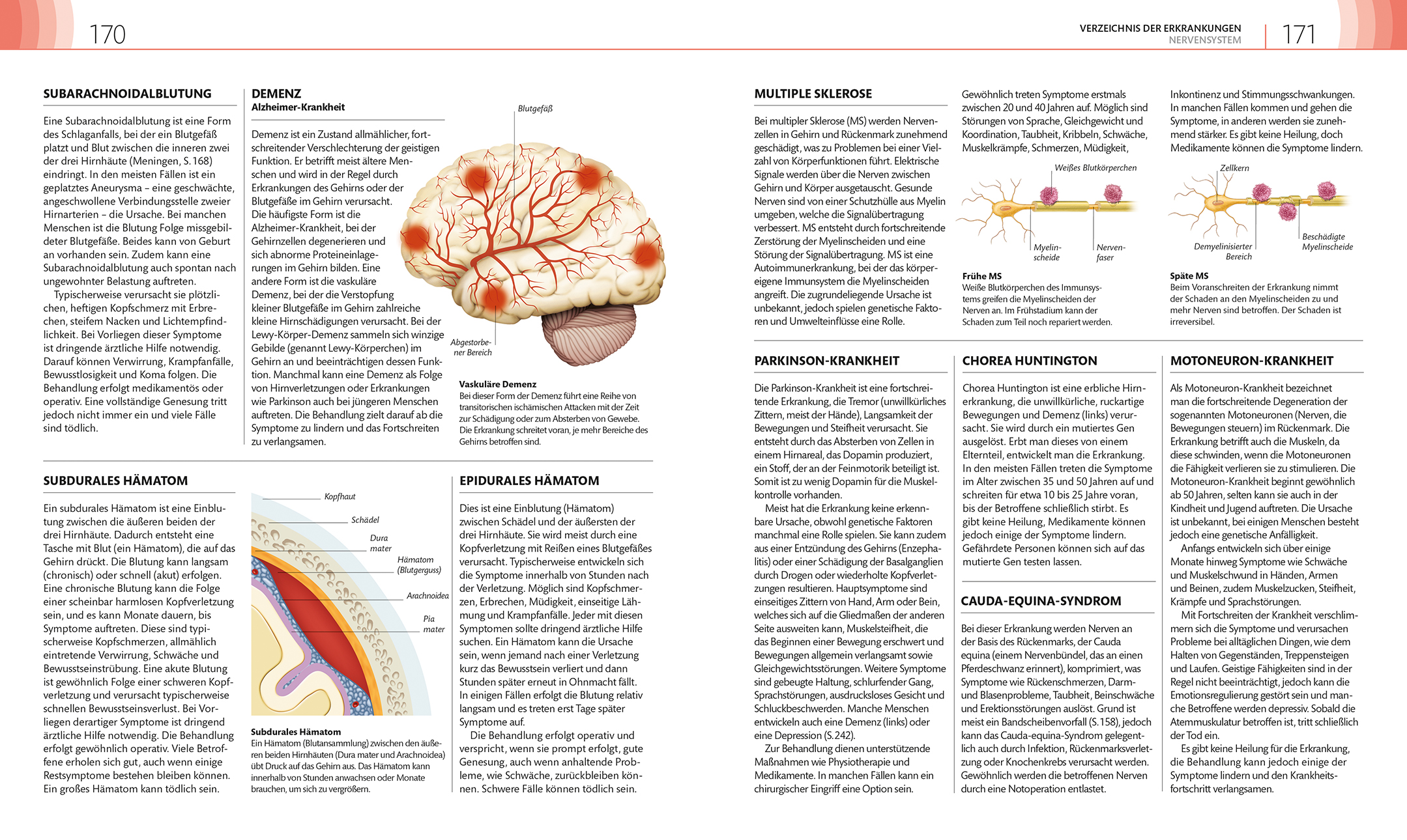 Praxisbuch Selbstdiagnose