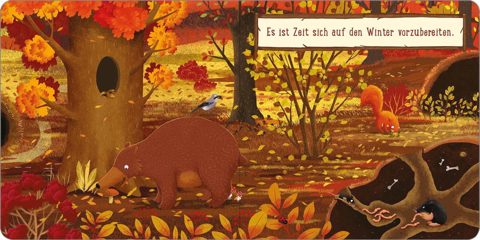 Ein Tag im Wald: Kleines Eichhörnchen