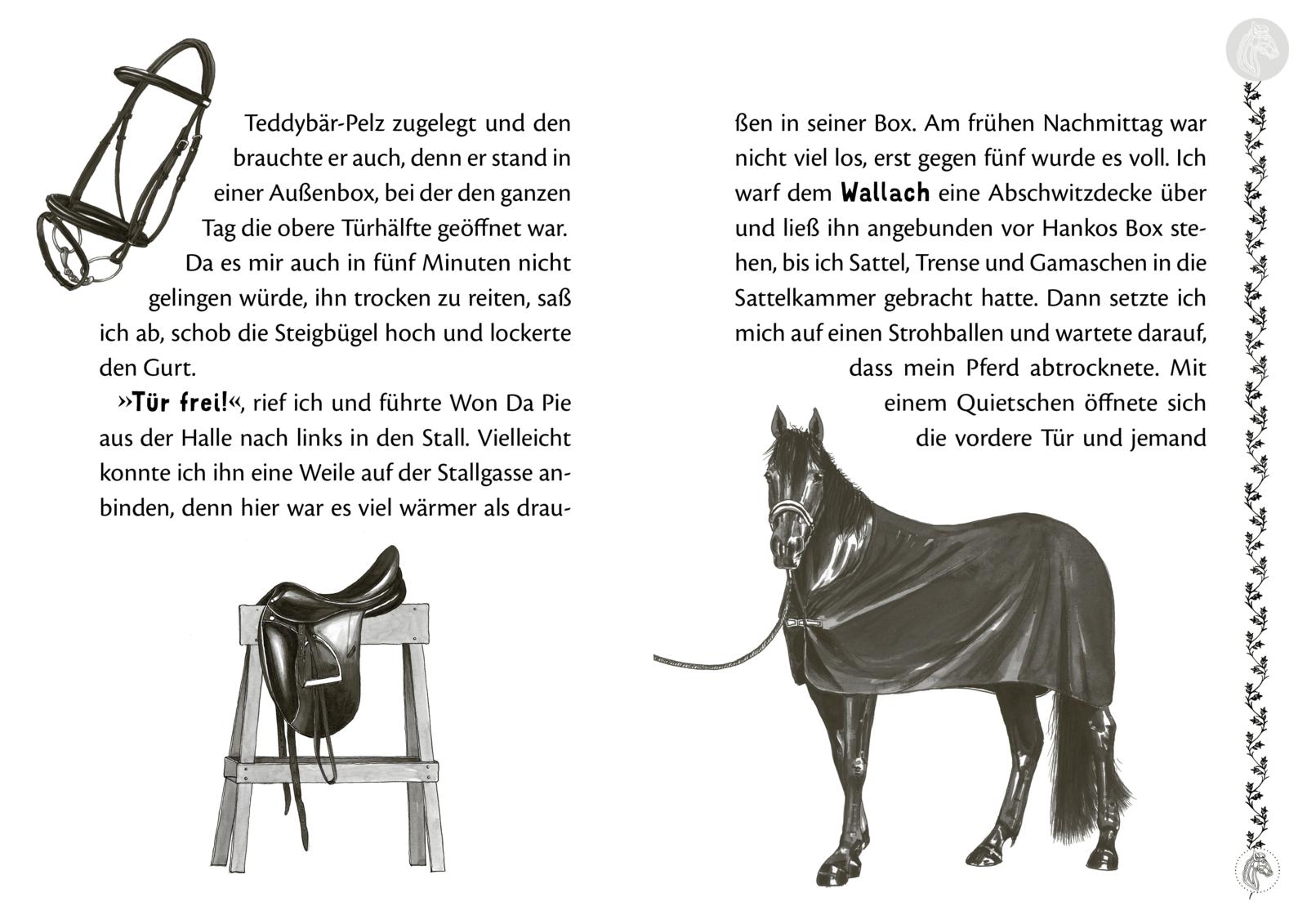 Charlottes Traumpferd 3: Ein unerwarteter Besucher