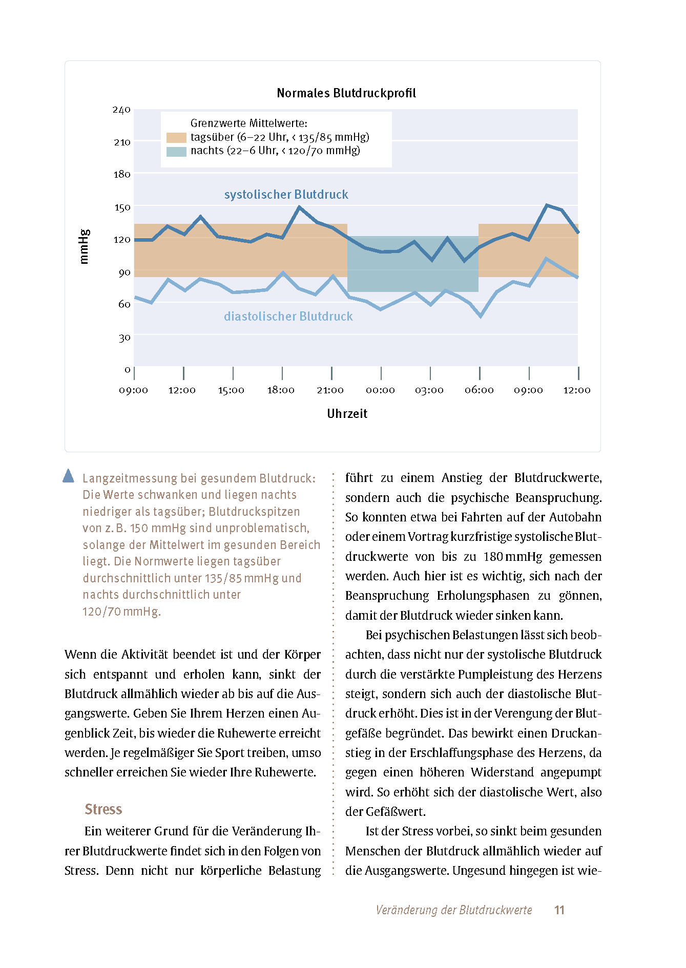 Expertenwissen: Bluthochdruck