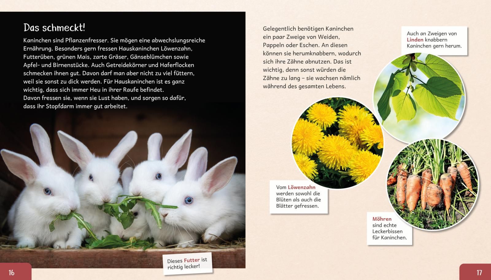 Meine große Tierbibliothek: Das Kaninchen