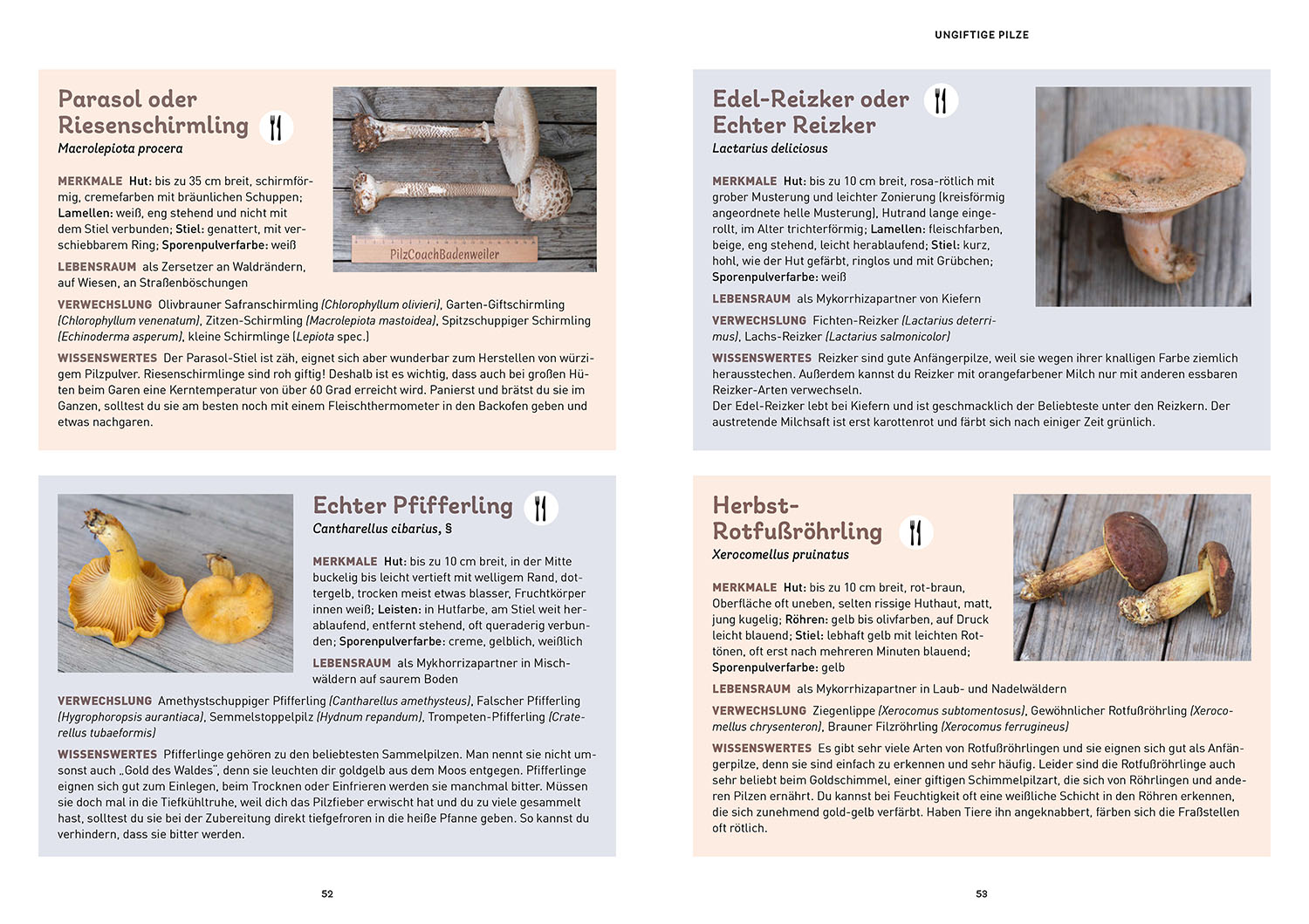 Das Pilzbuch für Kids