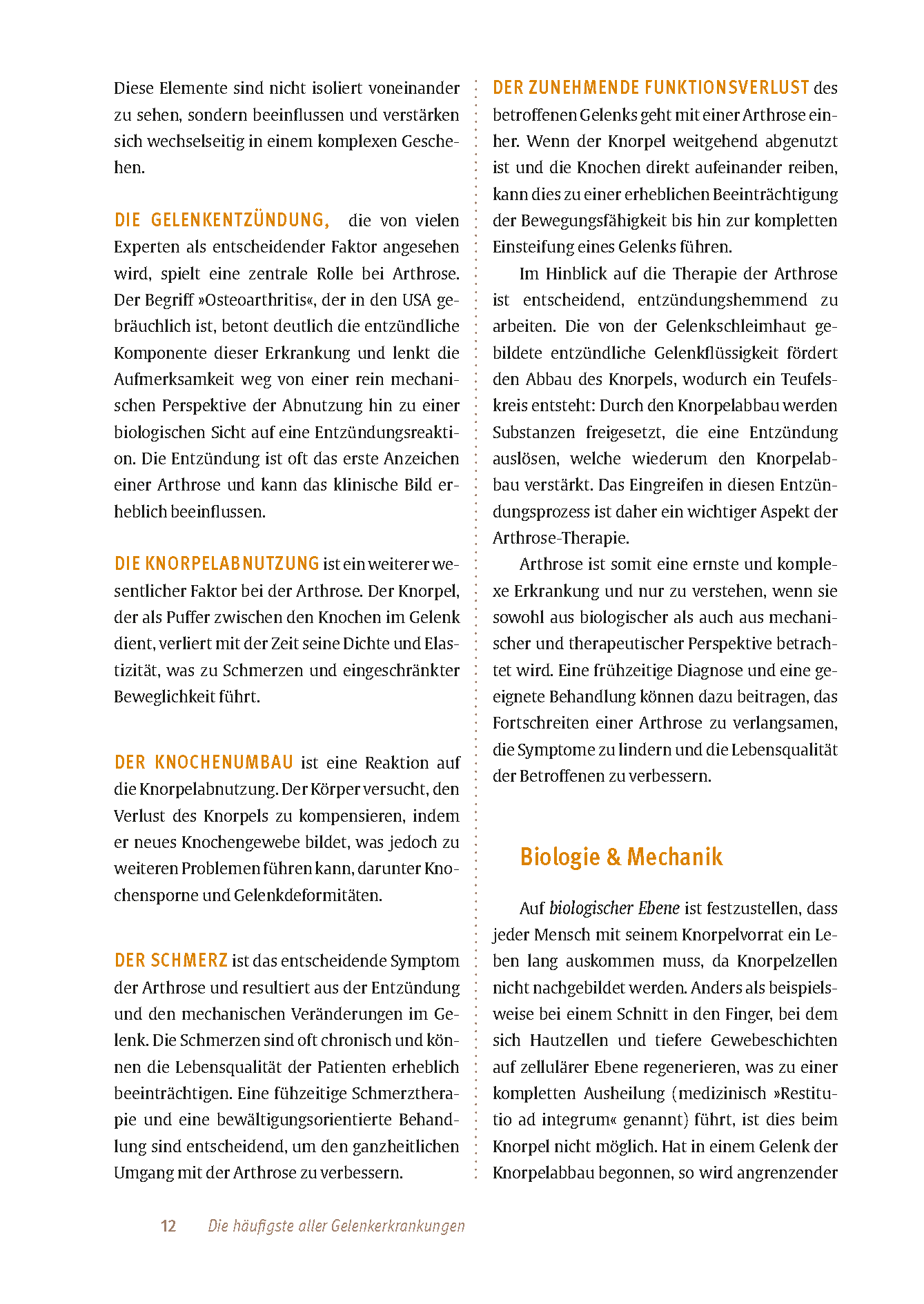 Expertenwissen: Arthrose
