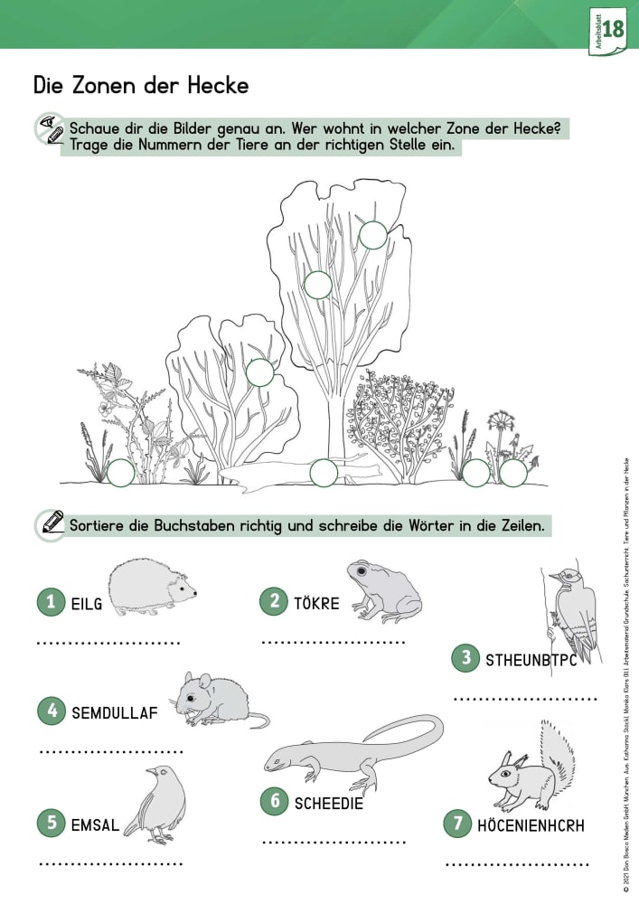 Arbeitsmaterial Grundschule. Sachunterricht: Tiere und Pflanzen in der Hecke