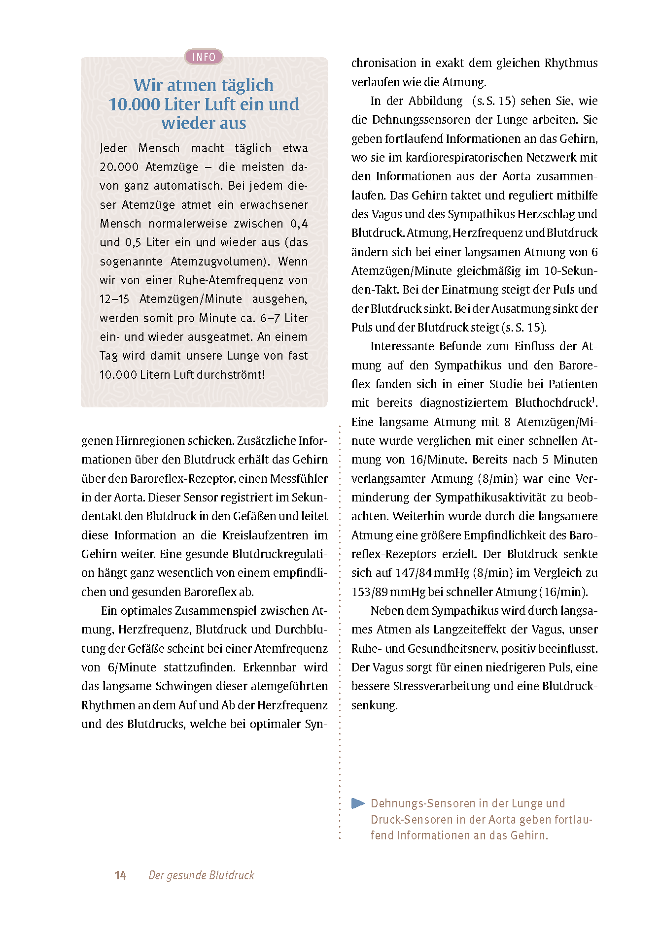 Expertenwissen: Bluthochdruck
