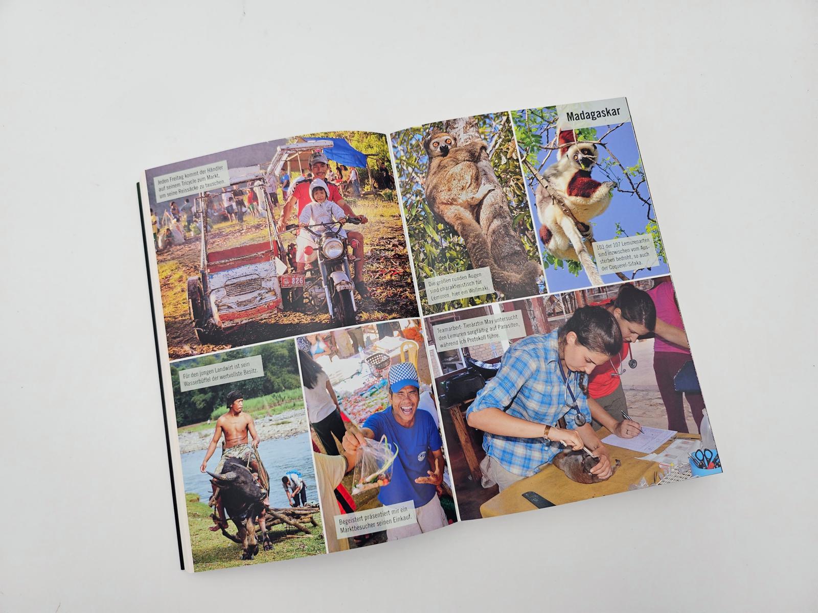 Nachtschicht mit Aras