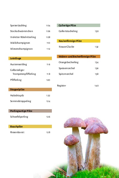 Pilze bestimmen - Der kleine Pilzführer für Einsteiger und Fortgeschrittene