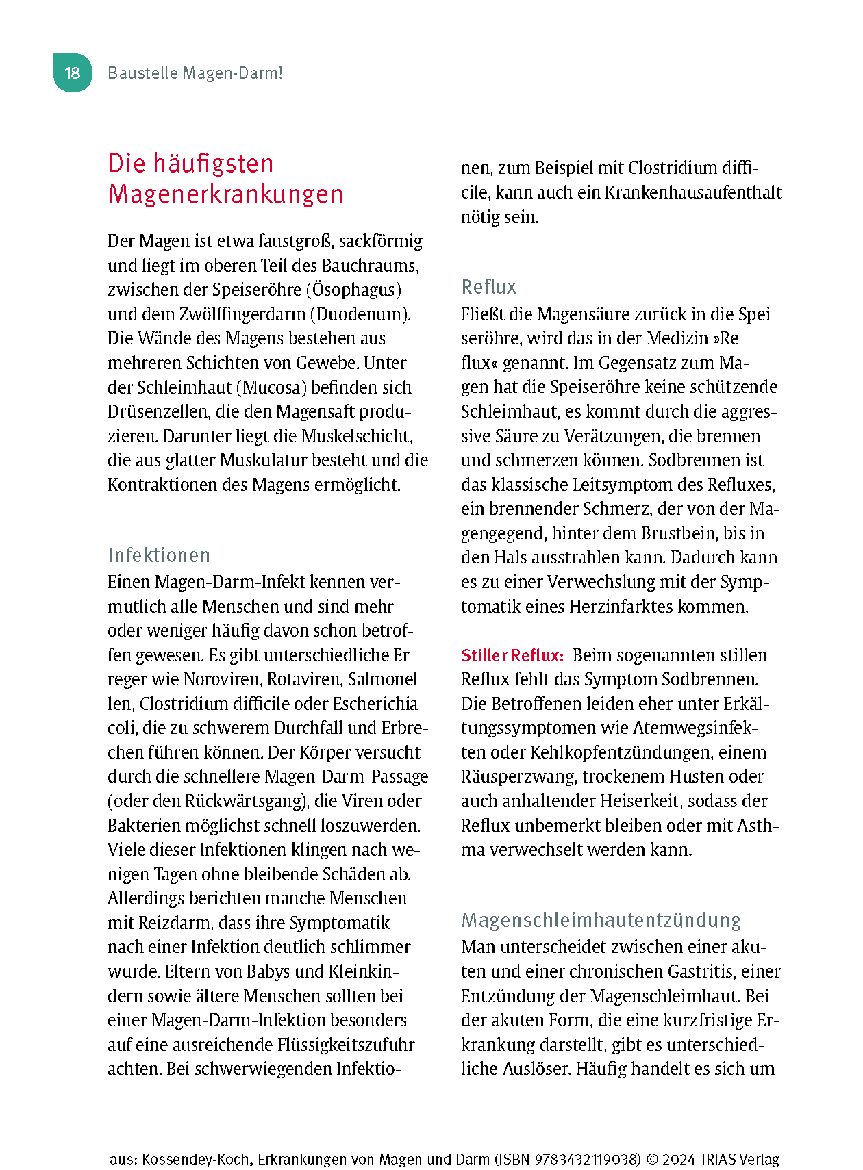 Naturheilpraxis: Erkrankungen von Magen und Darm