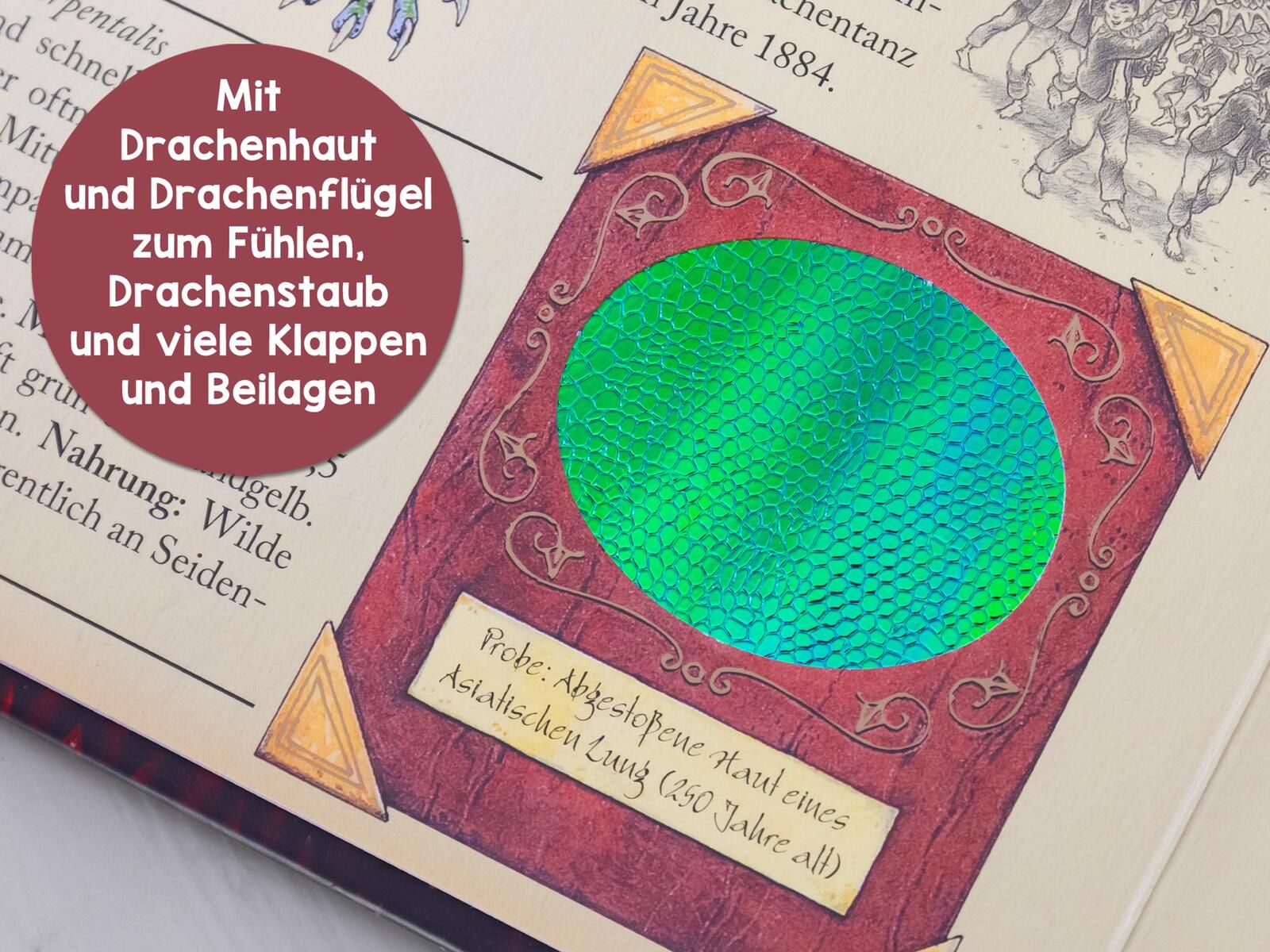 Expedition in die geheime Welt der Drachen