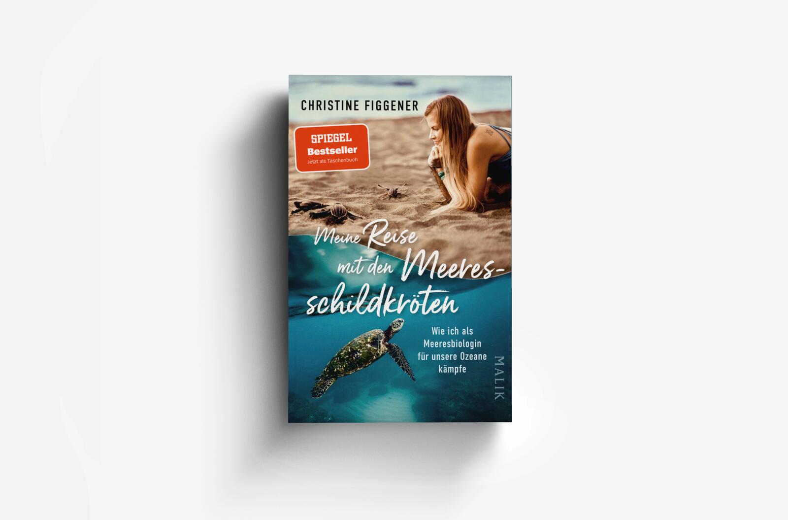 Meine Reise mit den Meeresschildkröten