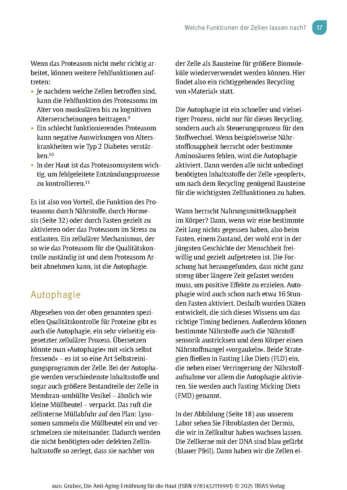 Die Anti-Aging-Ernährung für die Haut