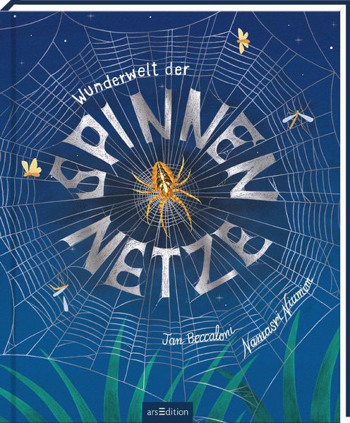 Wunderwelt der Spinnennetze