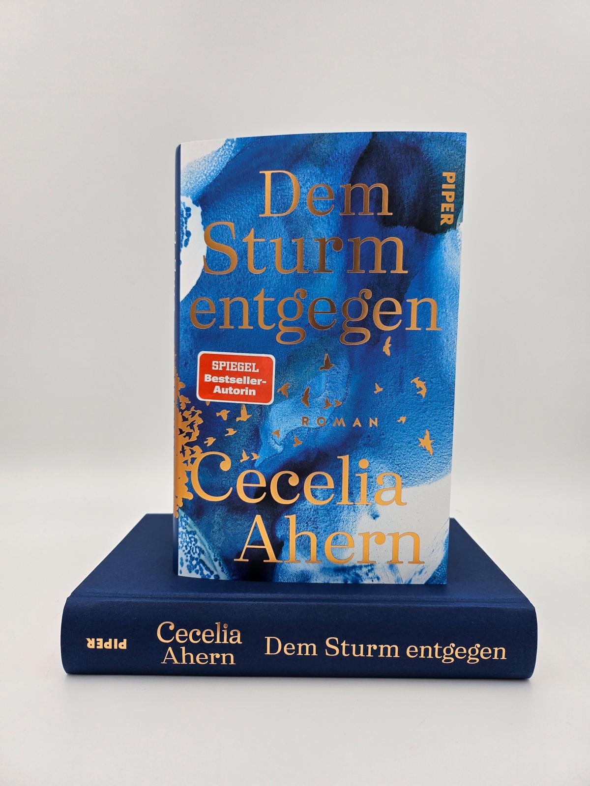 Dem Sturm entgegen