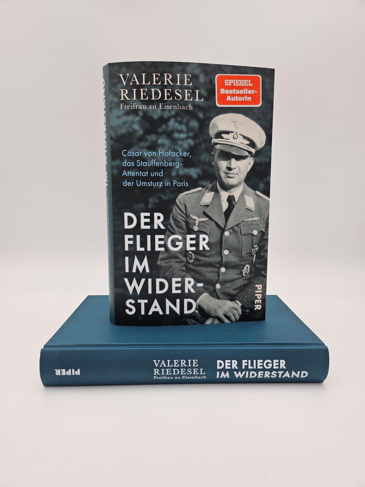 Der Flieger im Widerstand