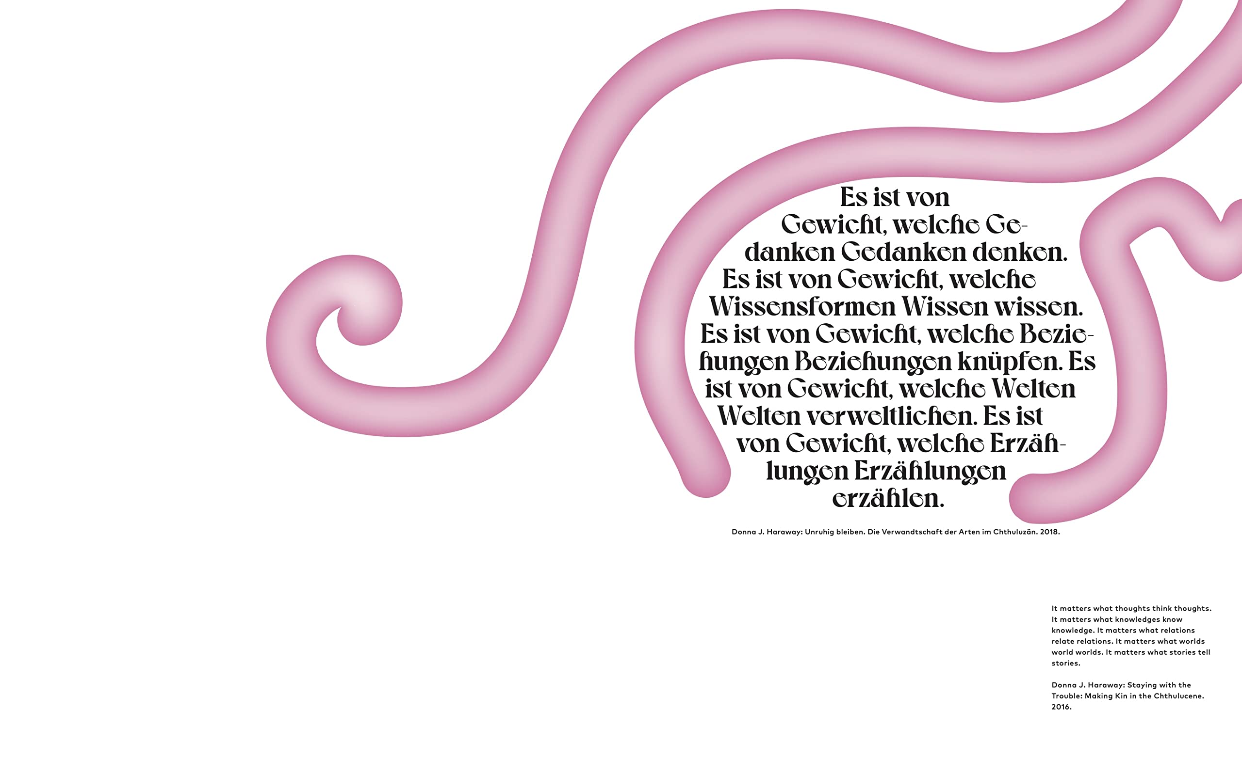 Denken wie ein Oktopus, oder: Tentakuläres Begreifen