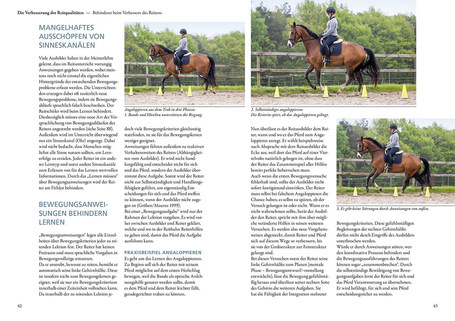 Verbessere dein Reiten