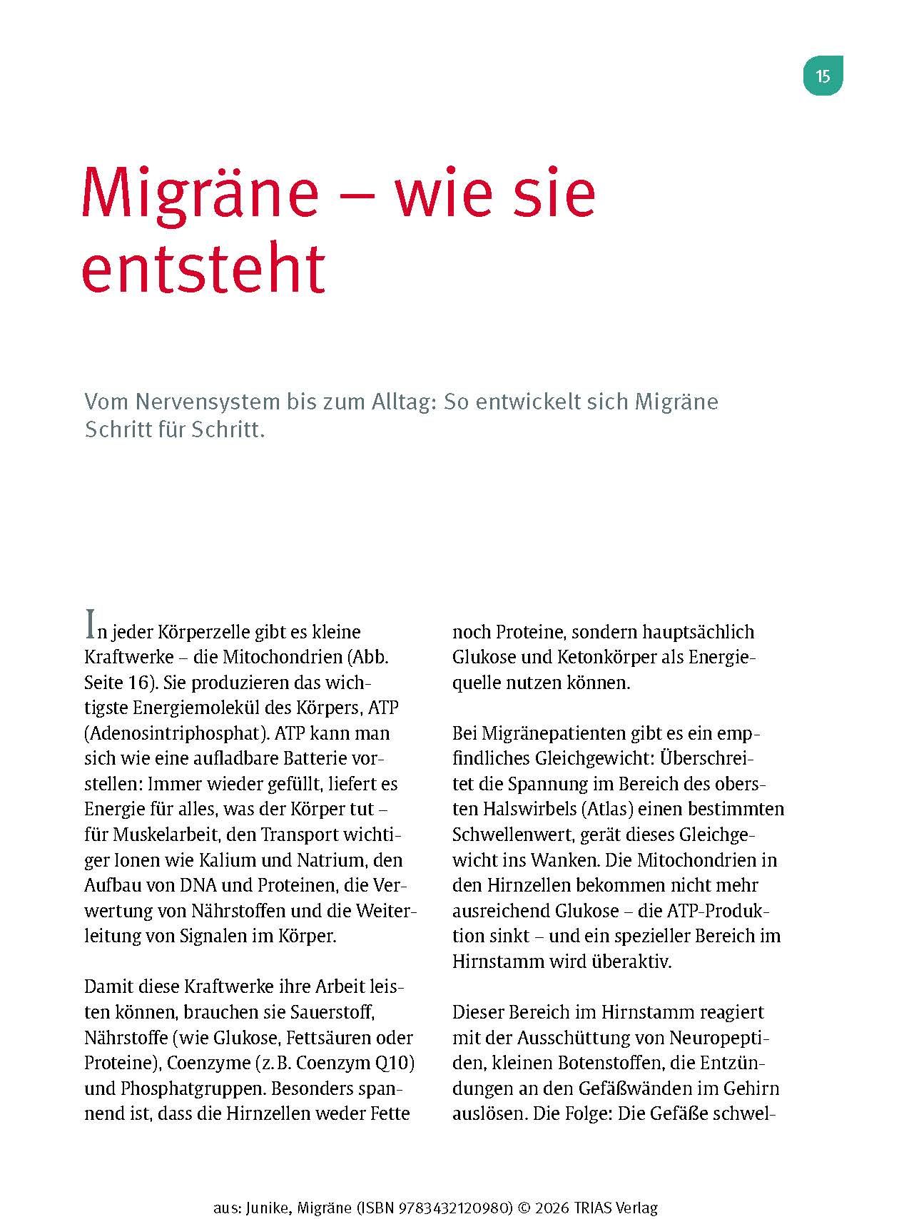 Naturheilpraxis Migräne