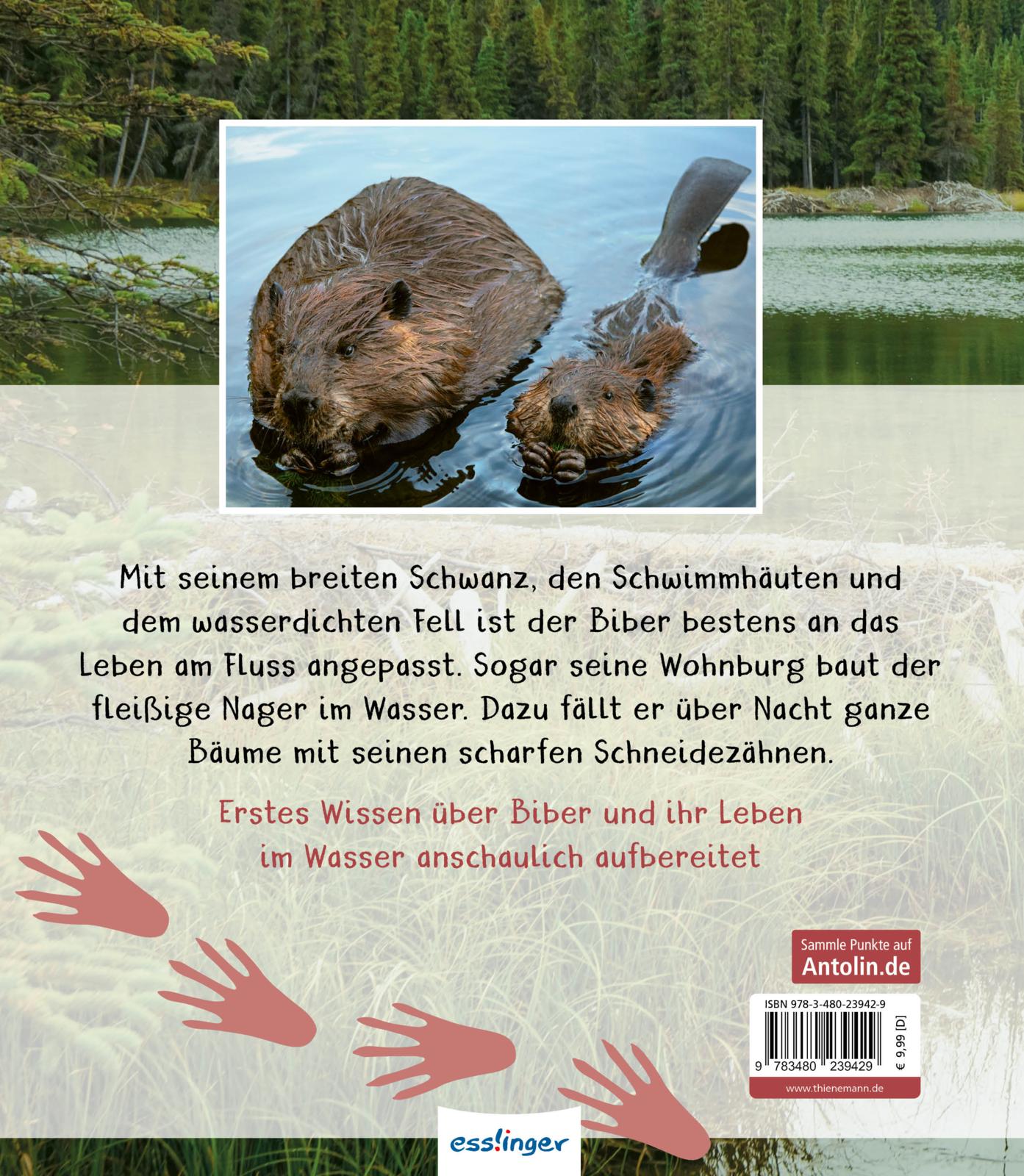 Meine große Tierbibliothek: Der Biber