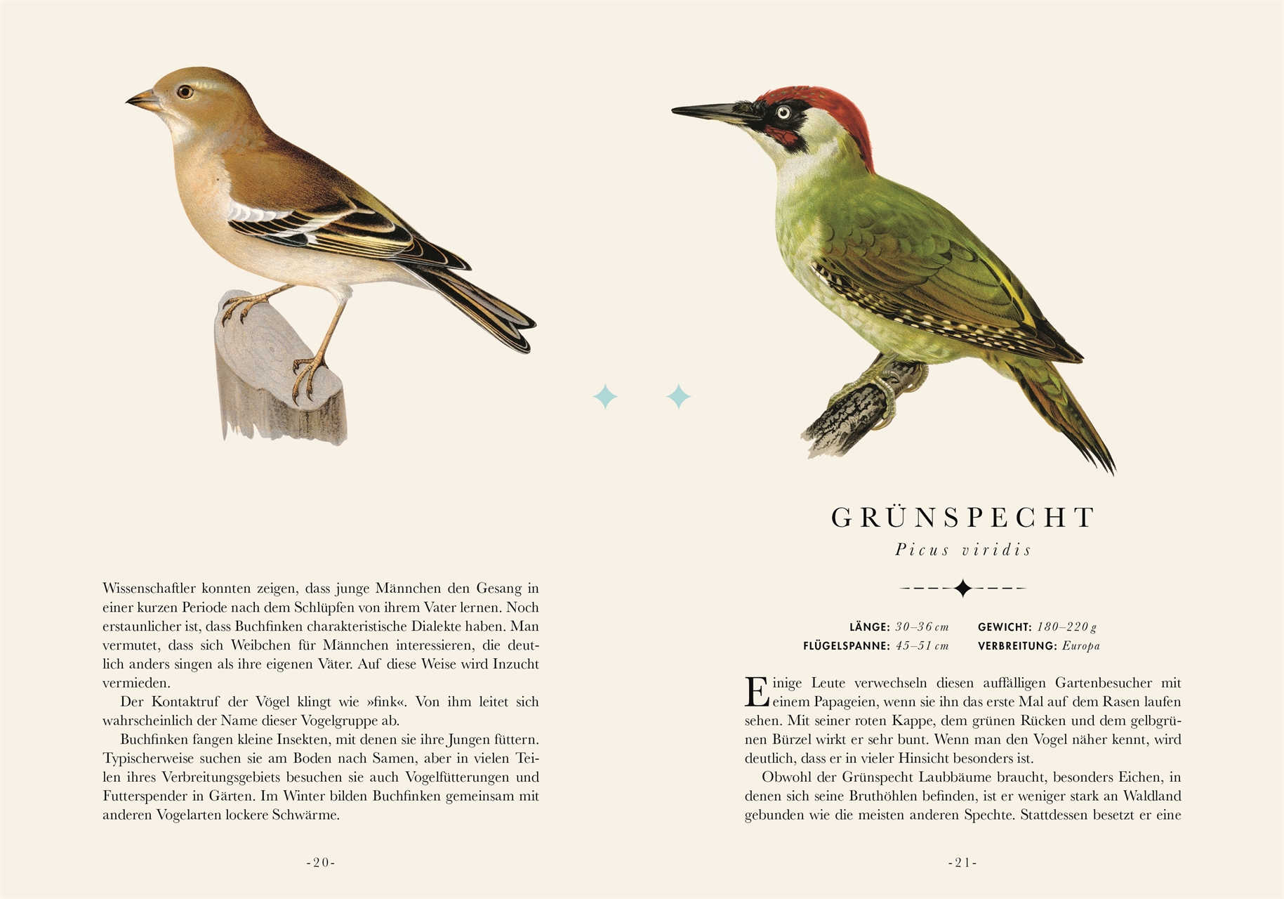 Naturelove. Die 50 schönsten Vögel der Welt