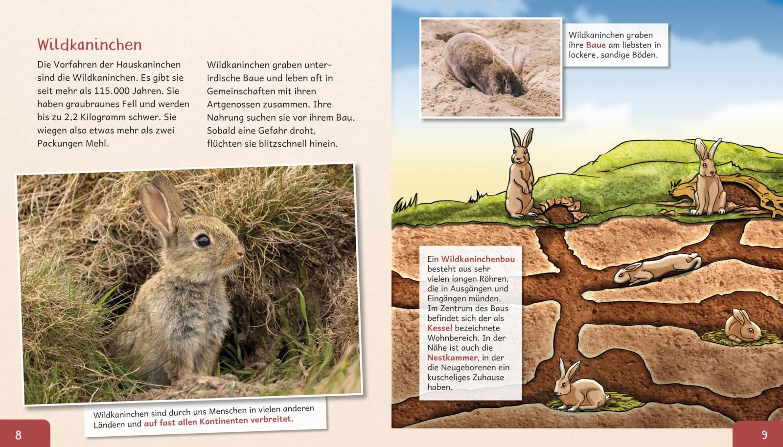 Meine große Tierbibliothek: Das Kaninchen