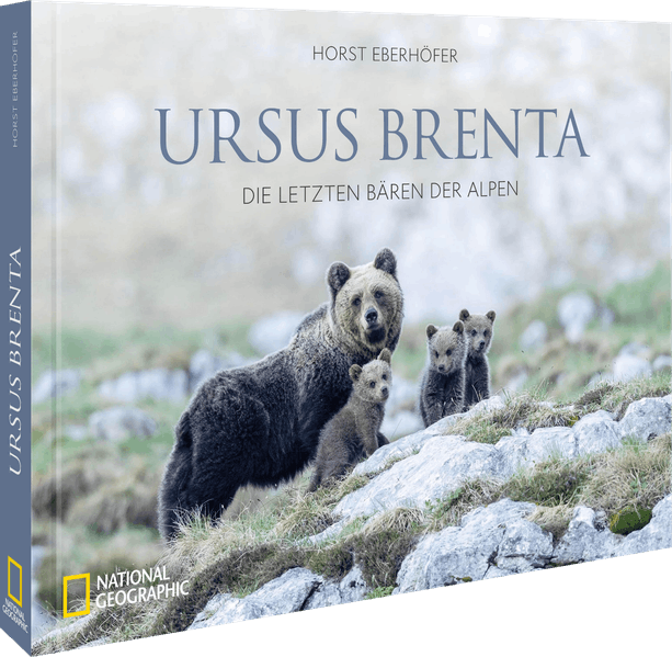 Ursus Brenta — Die Rückkehr der Bären in die Alpen