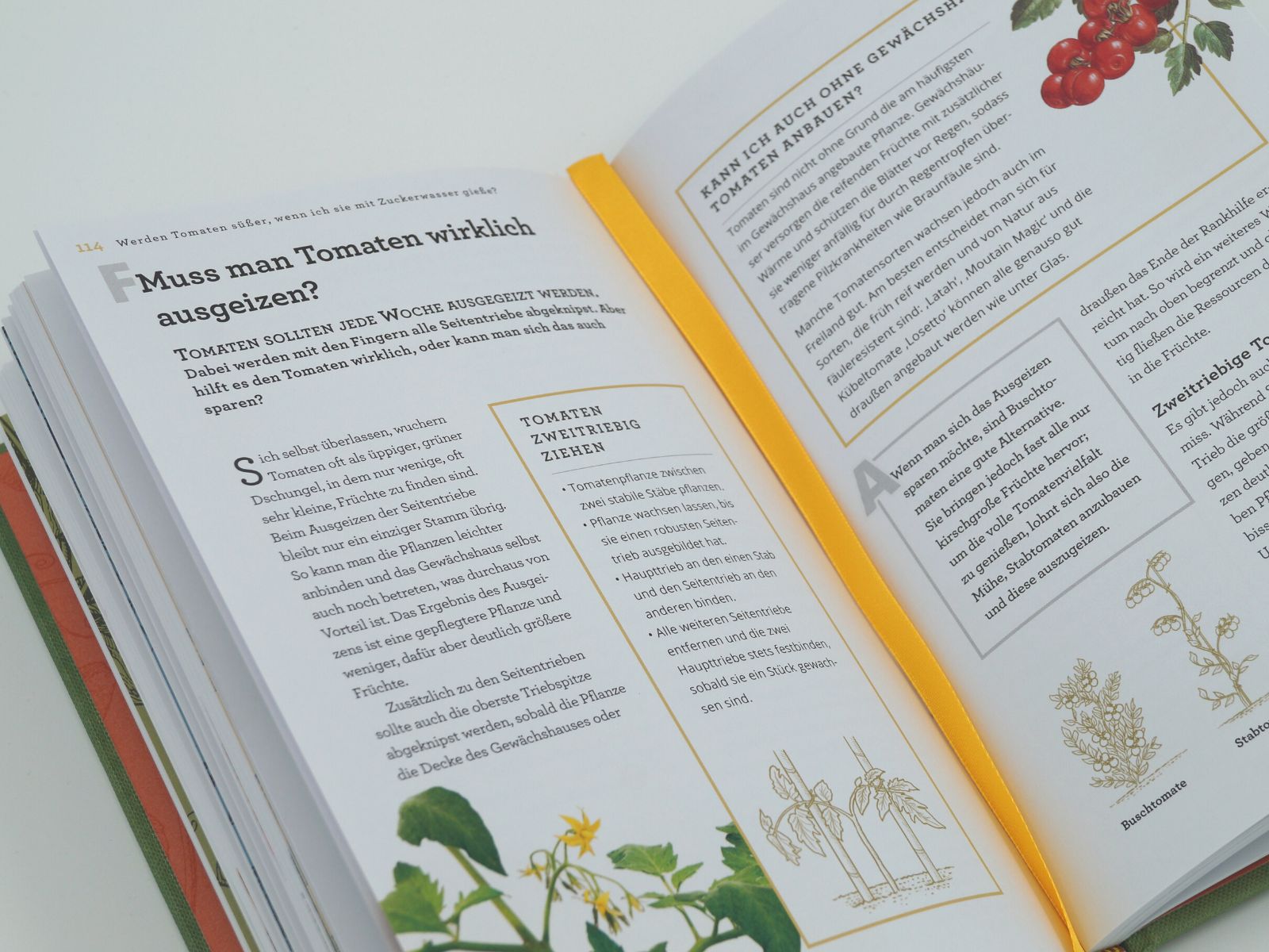 Werden Tomaten süßer, wenn ich sie mit Zuckerwasser gieße und kann ich mein Unkraut einfach aufessen?